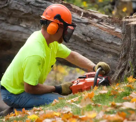 tree services Enterprise